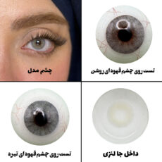 لنز چشم رویال ویژن مدل QUARTZO کد 08 رنگ طوسی سبز روشن بدون دور