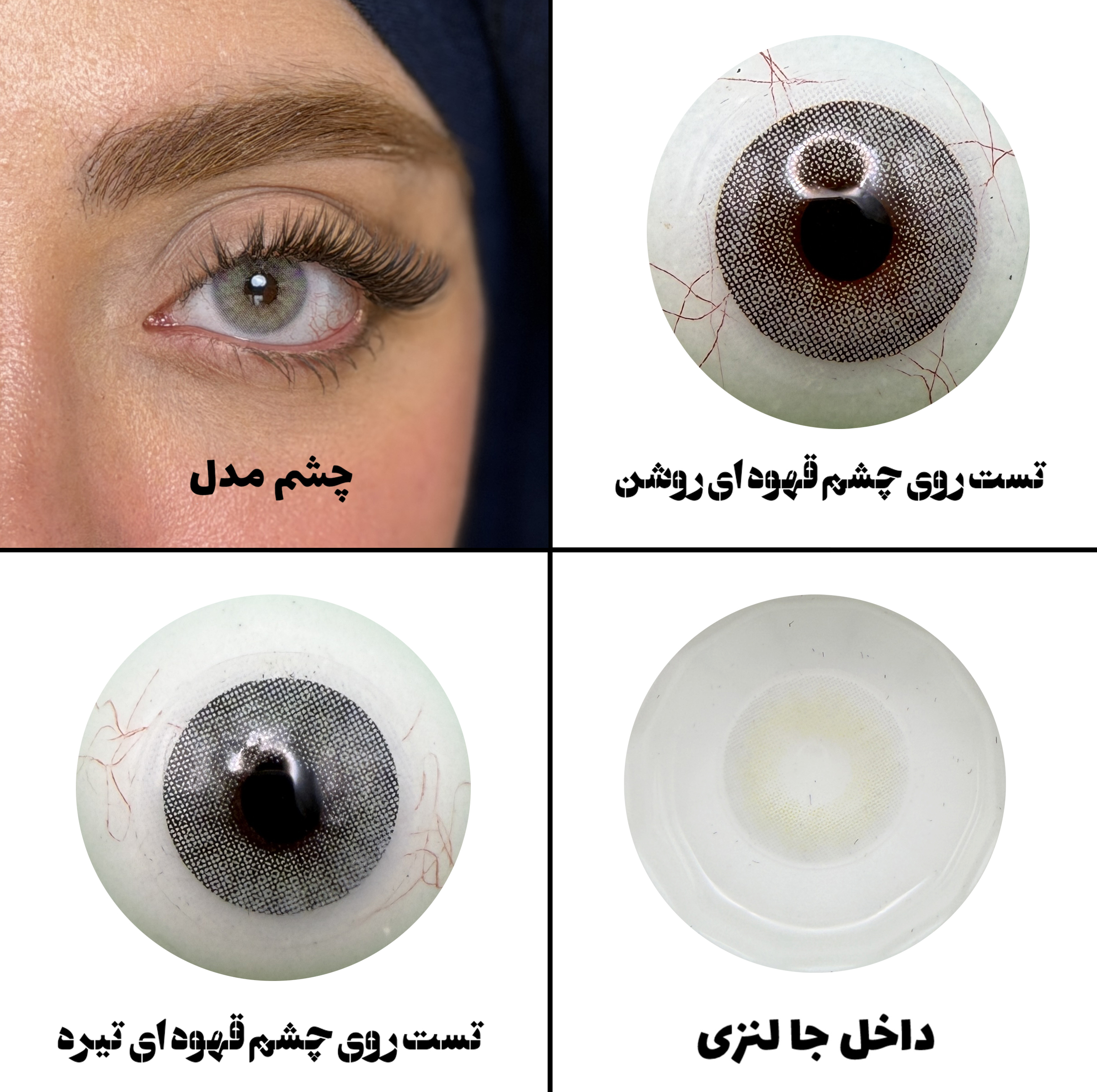 لنز چشم رویال ویژن مدل QUARTZO کد 08 رنگ طوسی سبز روشن بدون دور