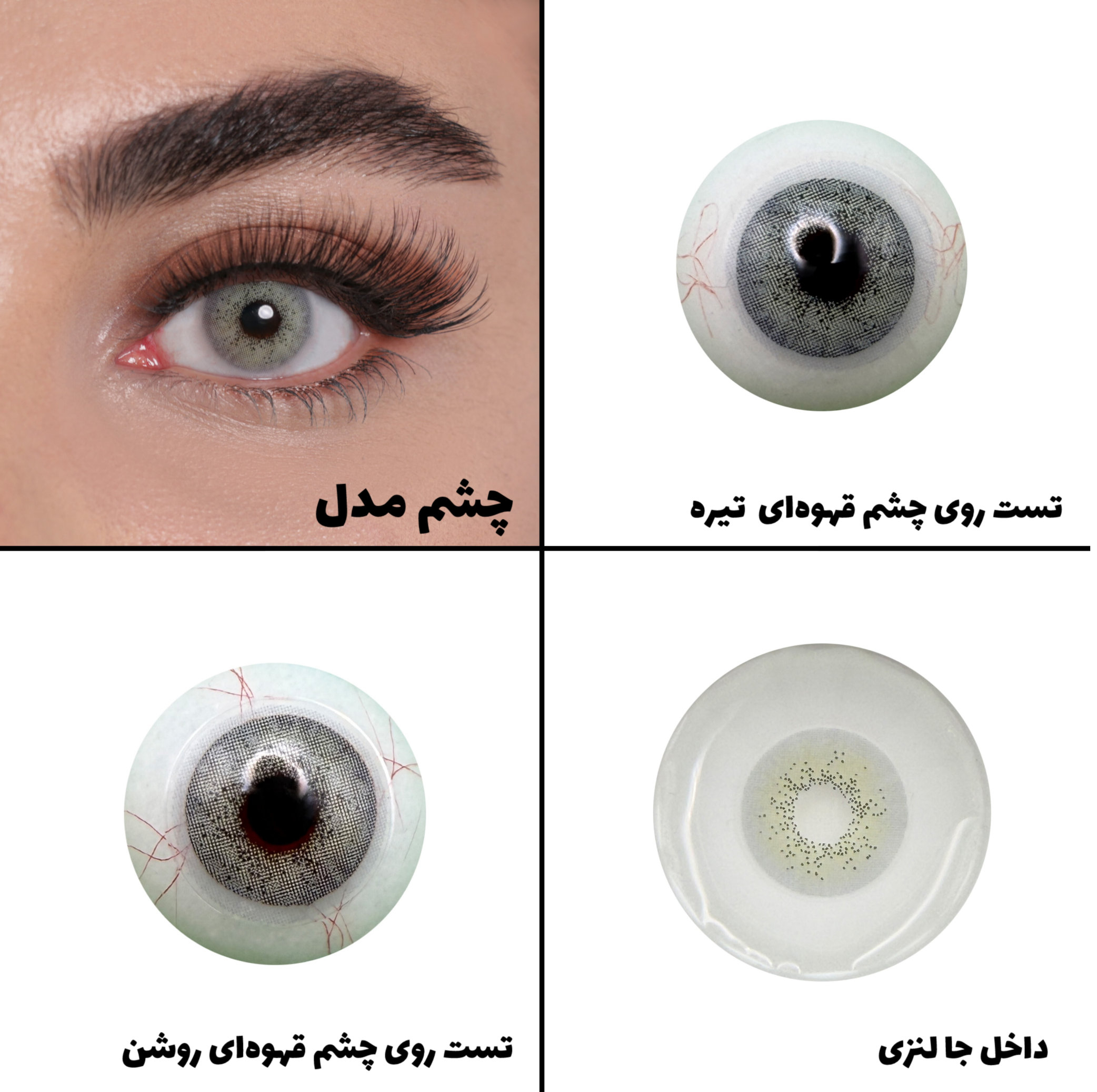 لنز چشم بیوتی مدل 15 کد ACQA310 رنگ سبزعسلی بدون دور