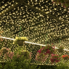 ریسه ال ای دی مدل سوزنی آفتابی کد WW50 طول 50 متر