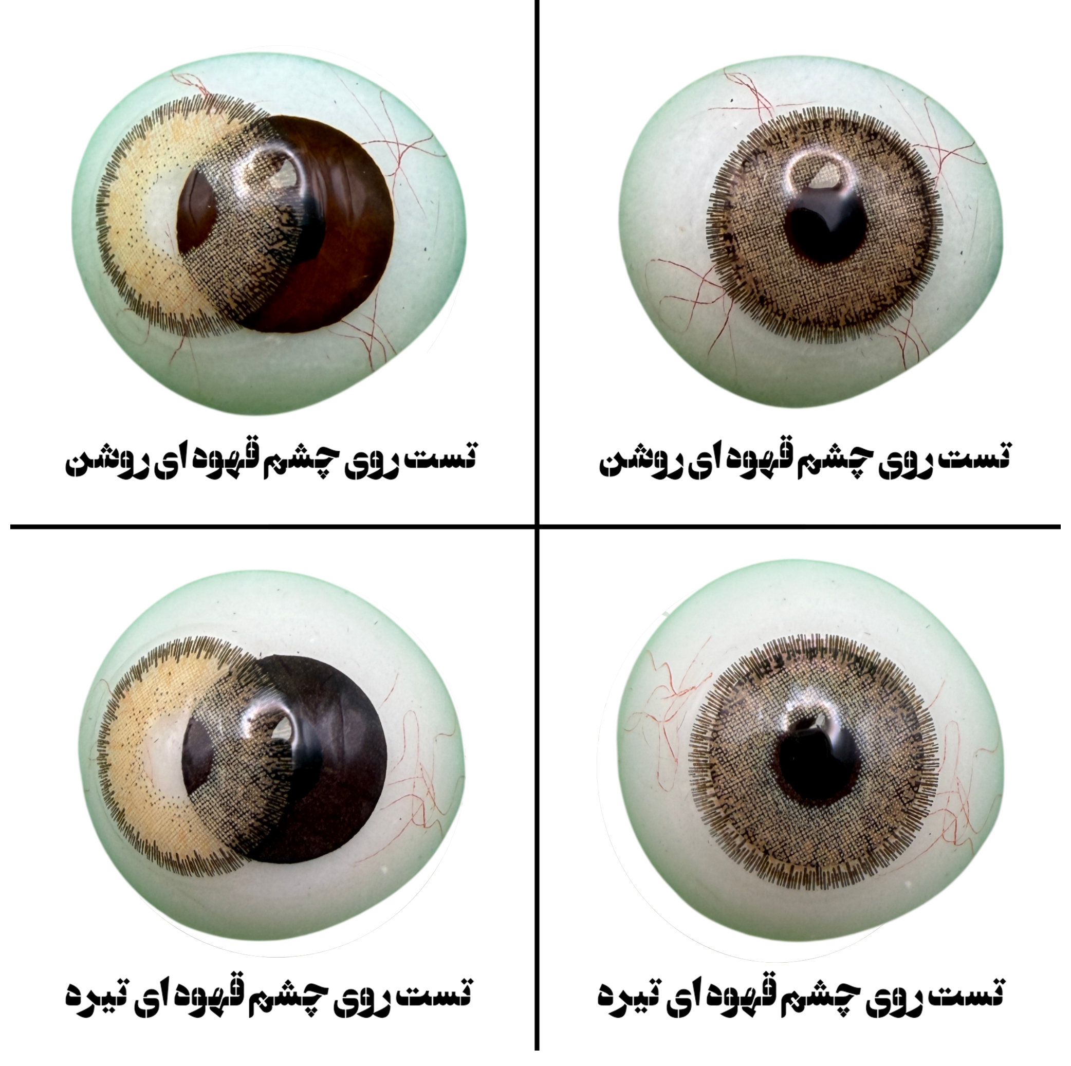 لنز چشم هرا گریس تمیم کانتکت لنز مدل DIVA HAZEL کد 17  رنگ عسلی دوردار