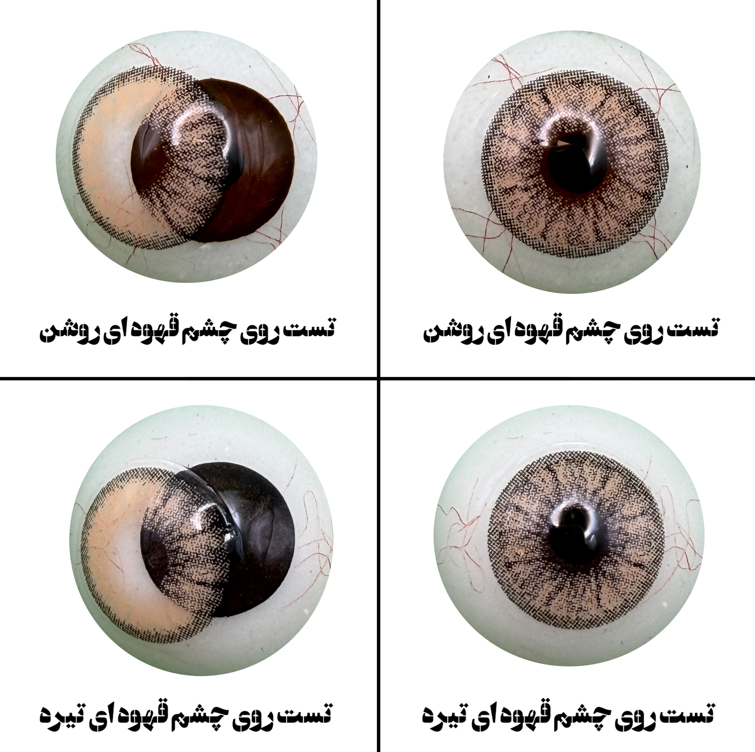 لنز چشم رویال ویژن مدل CAPPUCCINO کد 16 رنگ عسلی کاراملی دوردار