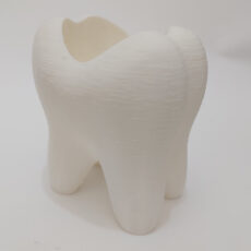 جامسواکی مدل tooth