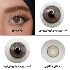 لنز چشم رویال ویژن مدل LA HAZEL کد 12 رنگ سبزعسلی طبیعی دوردار