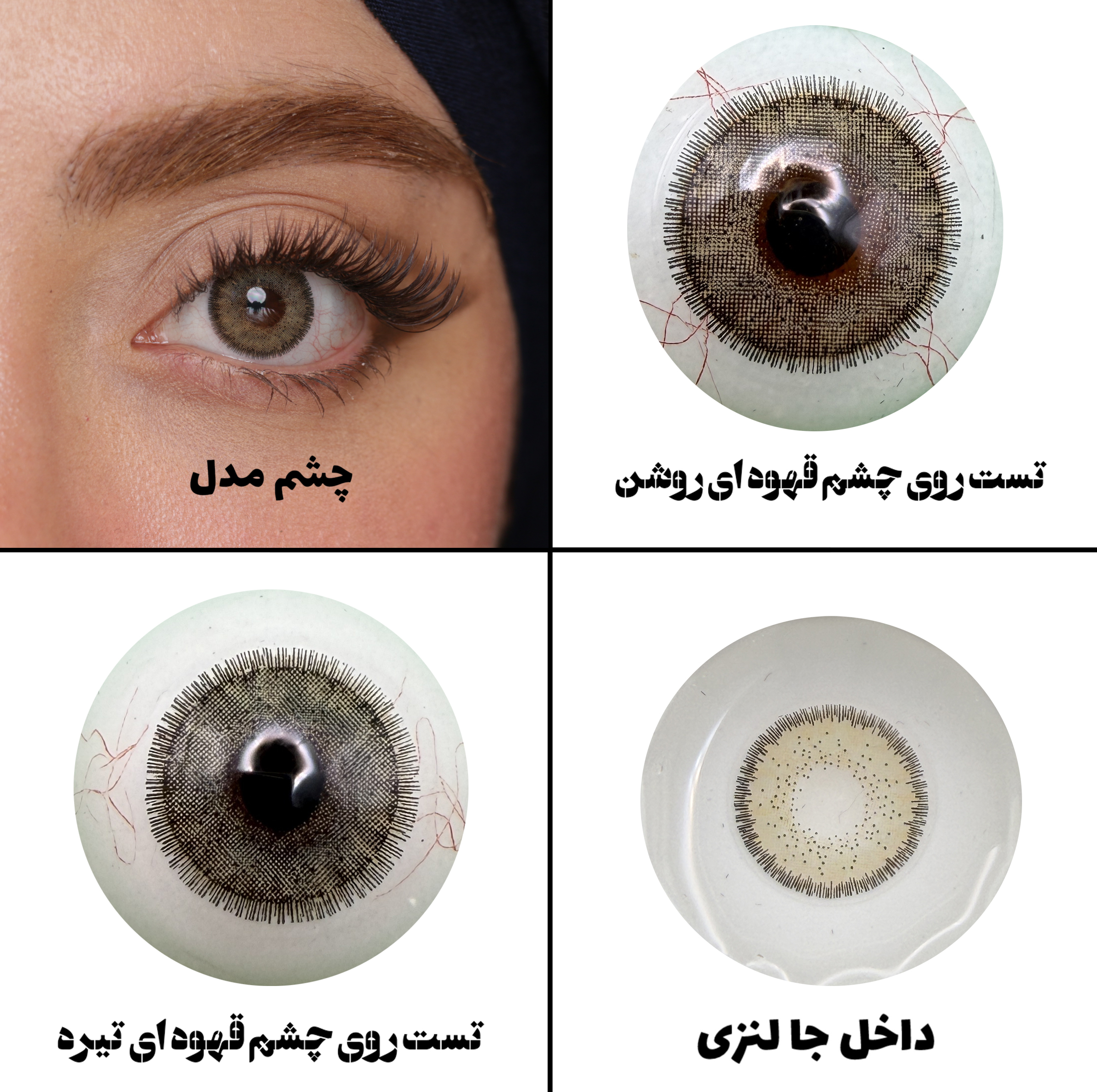 لنز چشم رویال ویژن مدل LA HAZEL کد 12 رنگ سبزعسلی طبیعی دوردار