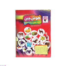 بازی فکری هوش چین 4 تکه