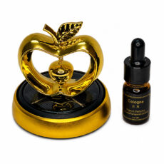 خوشبوکننده خودرو مدل سیب با رایحه Perfume
