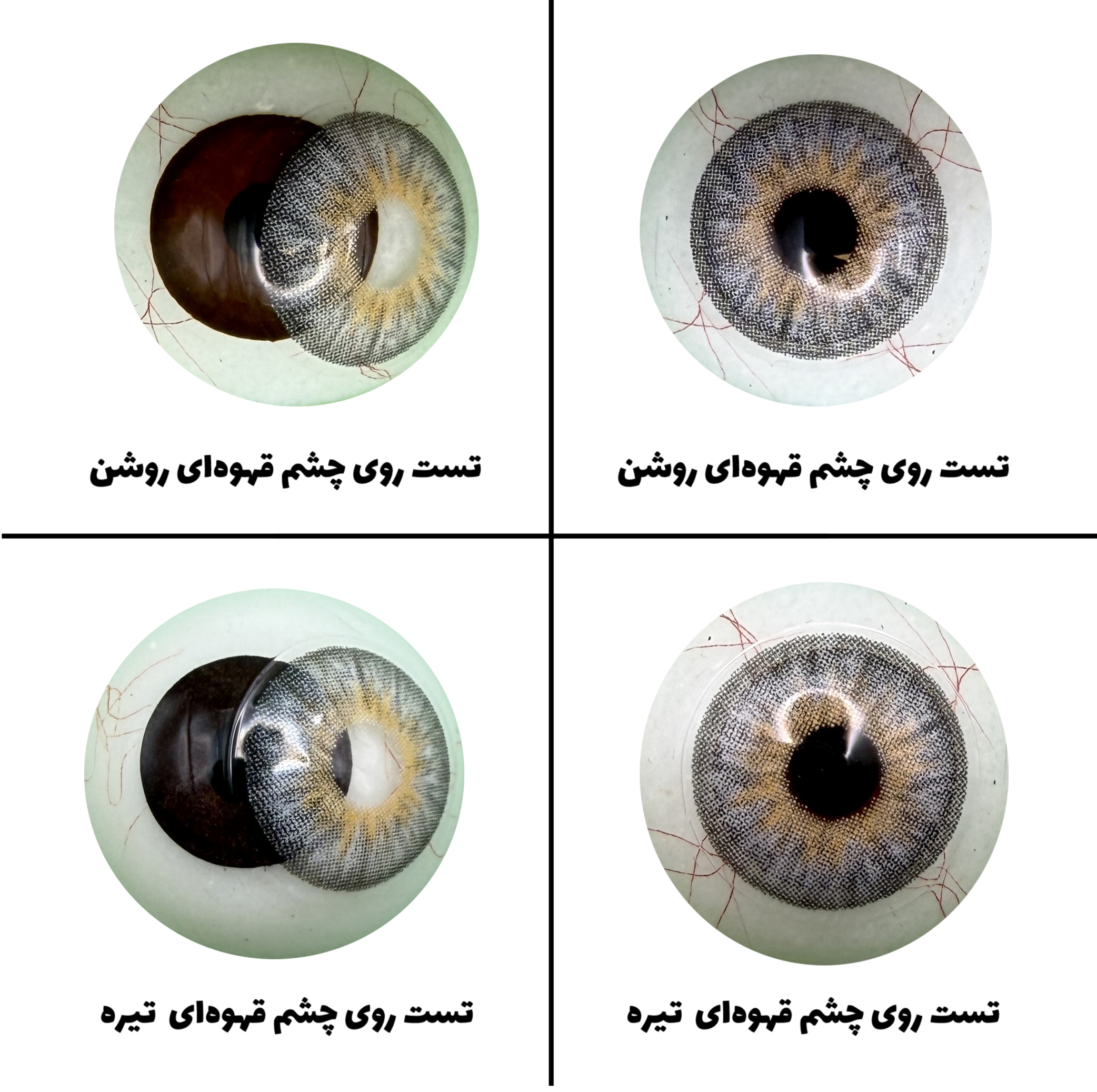 لنز چشم رویال ویژن مدل PLATINIUM کد 33 رنگ طوسی