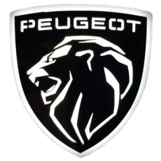 چراغ راهنما گلگیر خودرو مدل PEUGEOT3D-W WH مناسب برای پژو 405 بسته 2 عددی