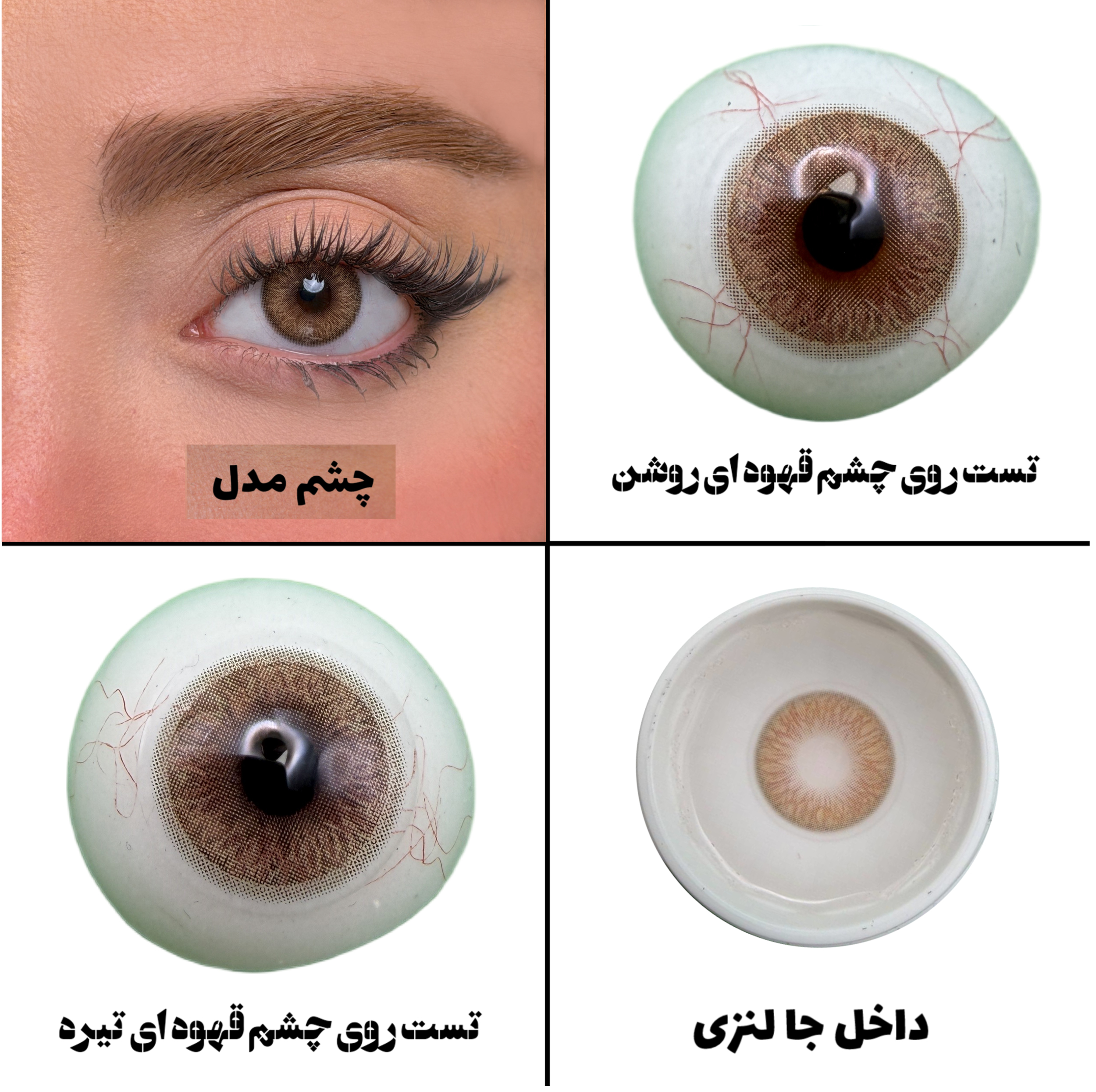 لنز چشم رز مدل LILY رنگ عسلی با دور محو