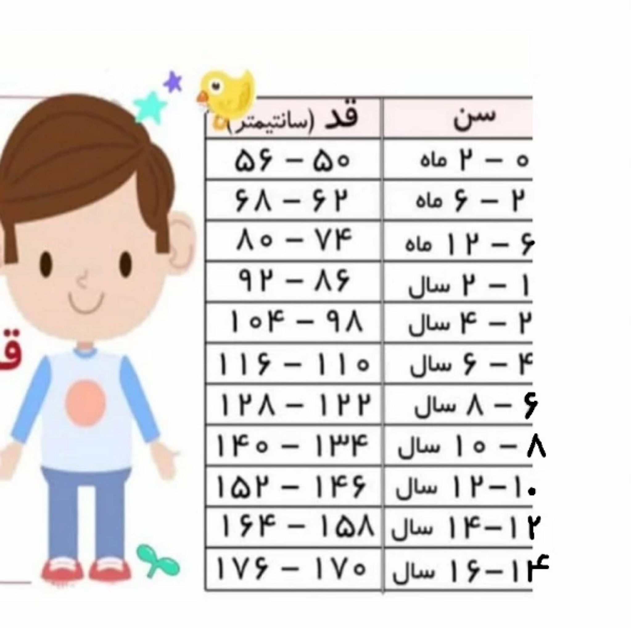 ست تی شرت و شلوار ورزشی بچگانه مدل بیس لایر