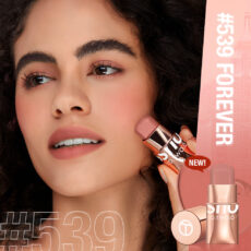 رژگونه استیکی مات او تو او مدل S40 شماره 539