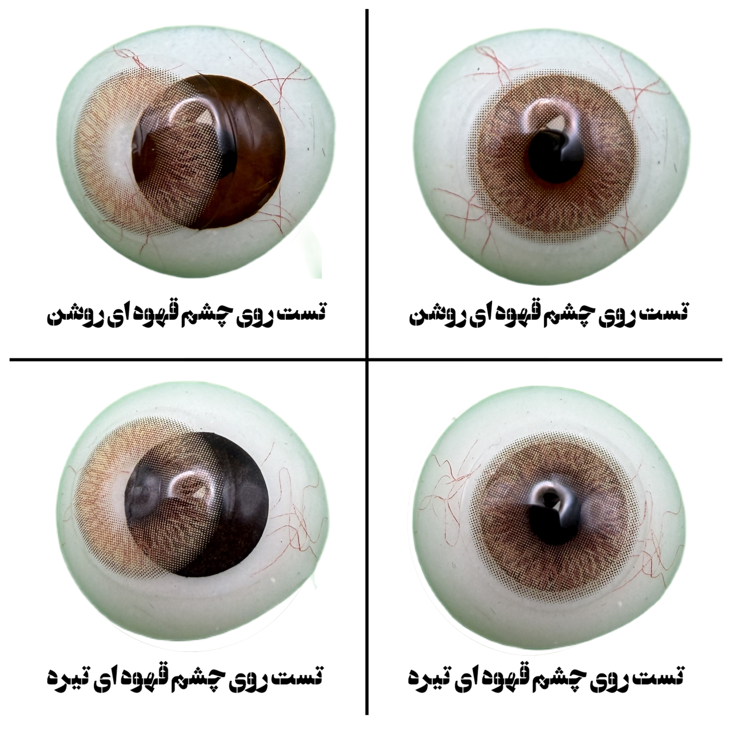 لنز چشم رز مدل LILY رنگ عسلی با دور محو