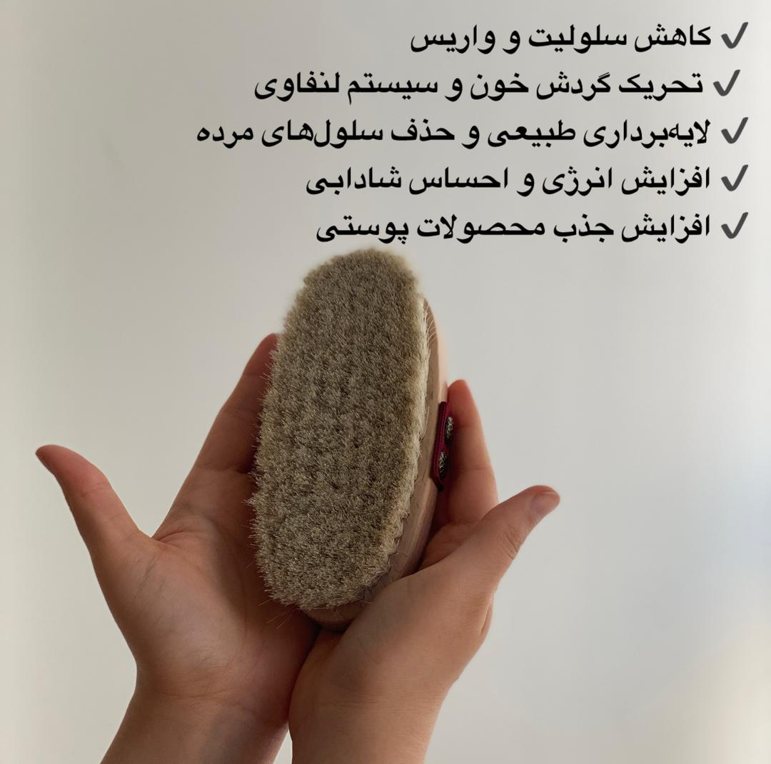 برس شستشوی بدن مگ مدل موی اسب