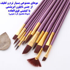 ست قلم مو ژوتینگ کد Professional Violet به همراه پالت مجموعه 13 عددی