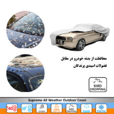 چادر خودرو سوزن طلا روکش مدل SSZ00L مناسب برای پژو 206 sd