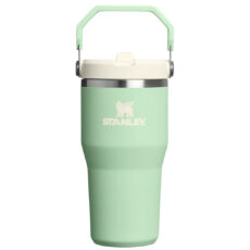 تراول ماگ استنلی مدل IceFlow Flip Straw Tumbler 2.0 گنجایش 0.59 لیتر