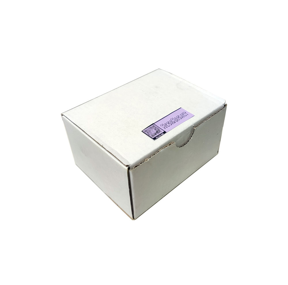 آهن ربا مدل نئودیمیوم کد Mega 40h20