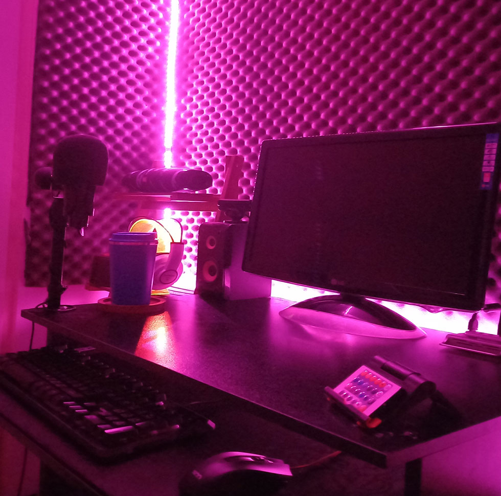 ریسه ال ای دی مدل  شلنگی RGB طول 10 متر به همراه ریموت