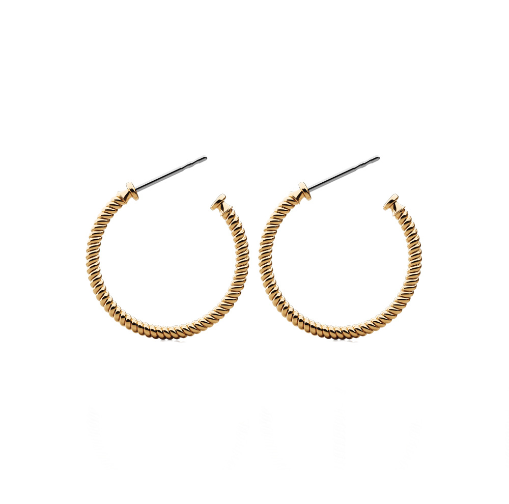 گوشواره حلقهای زنانه پاول هویت مدل ROPE HOOP