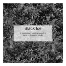 خوشبوکننده خودرو لیتل تریس مدل VENT WARP رایحه BLACK ICE بسته 4 عددی