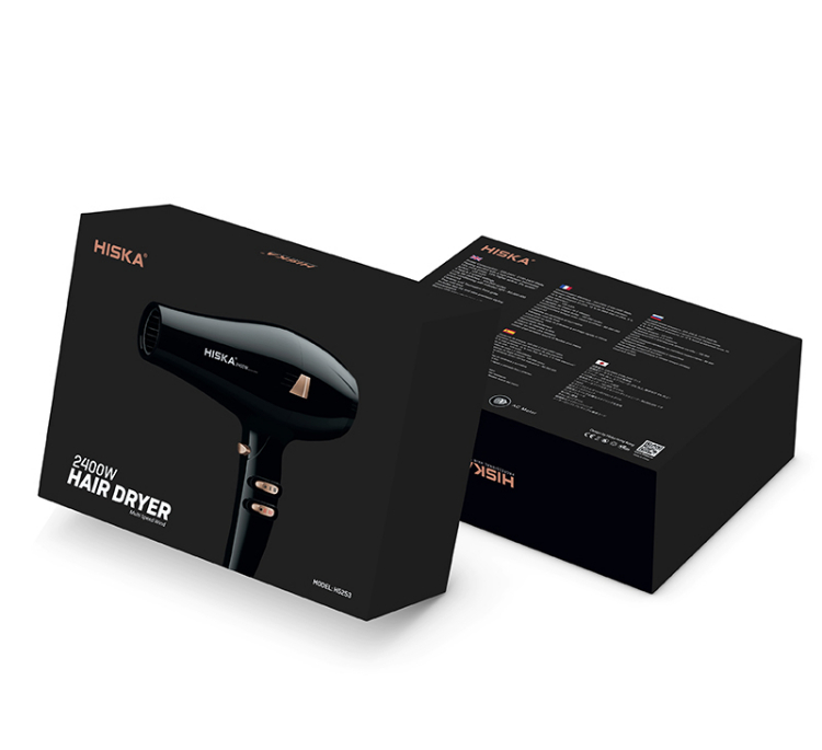 سشوار حرفه ای هیسکا مدل H5253