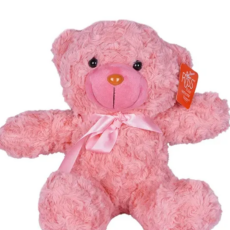 عروسک طرح خرس راس کد 1000010773 سایز 22 سانتی متر