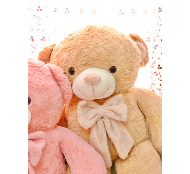 عروسک طرح خرس کد 890 سایز 100 سانتی‌ متر