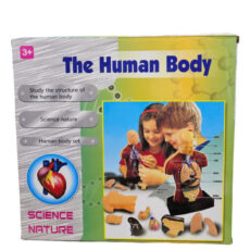 بازی آموزشی ناب سل مدل مولاژ آناتومی اعضای بدن The Human Body naab002