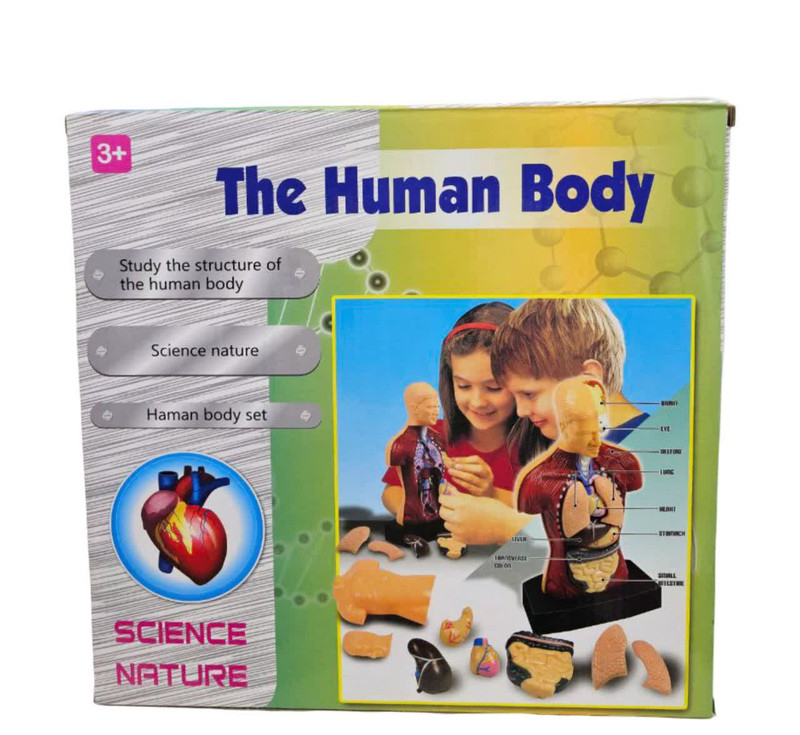 بازی آموزشی ناب سل مدل مولاژ آناتومی اعضای بدن The Human Body naab002