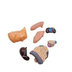 بازی آموزشی ناب سل مدل مولاژ آناتومی اعضای بدن The Human Body naab002