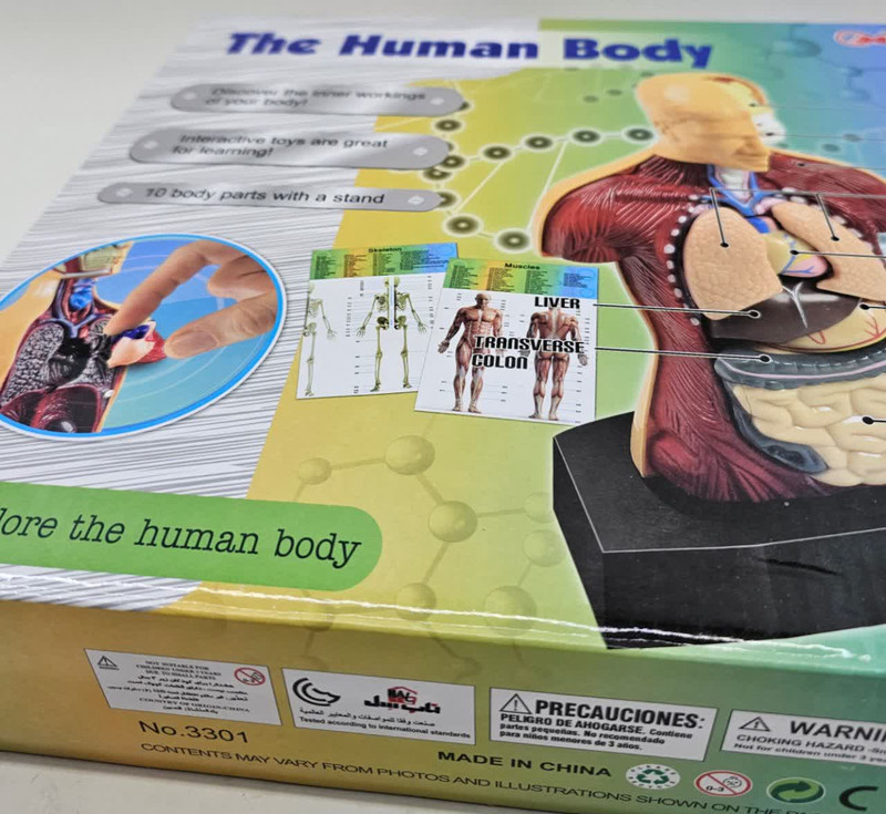 بازی آموزشی ناب سل مدل مولاژ آناتومی اعضای بدن The Human Body naab002