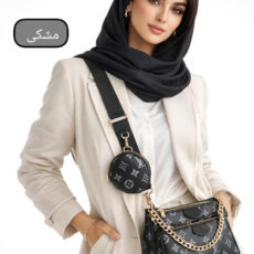 کیف زنانه طرح لویی ویتون مدل پروا کد 7704369