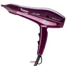 سشوار حرفه ای پرنسلی مدل PR250AT