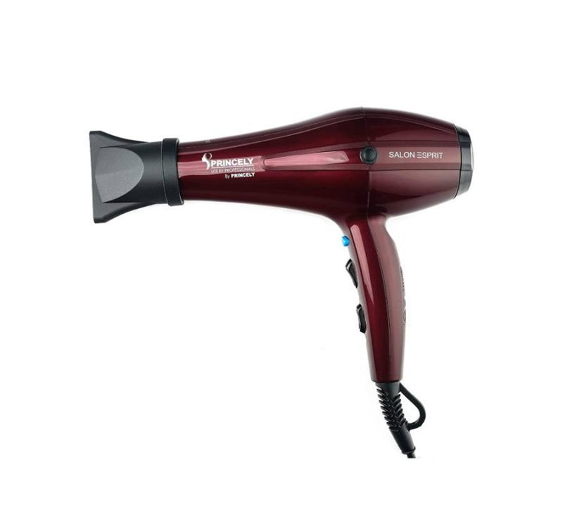 سشوار حرفه ای پرنسلی مدل PR250AT