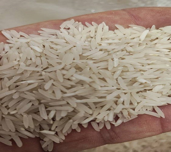 برنج طارم استخوانی فجر شکوزار وزن 4.5 کیلوگرم