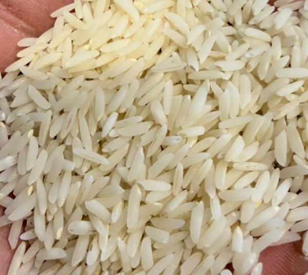برنج طارم هاشمی زرین خوشه طبرستان ناریوران وزن 10 کیلوگرم