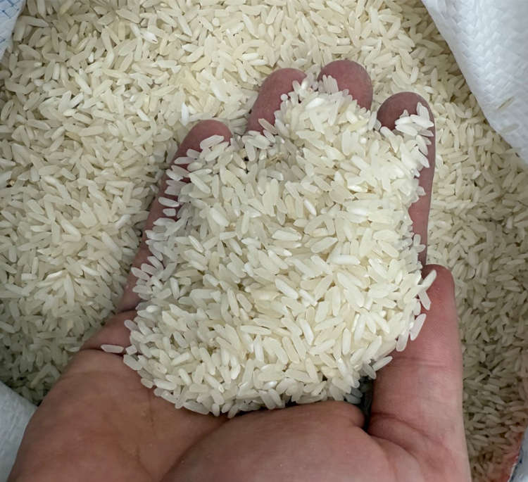 برنج سفید پاکستانی دماوند وزن 10 کیلوگرم