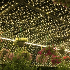 ریسه ال ای دی مدل ضدآب طول ۵۰ متر
