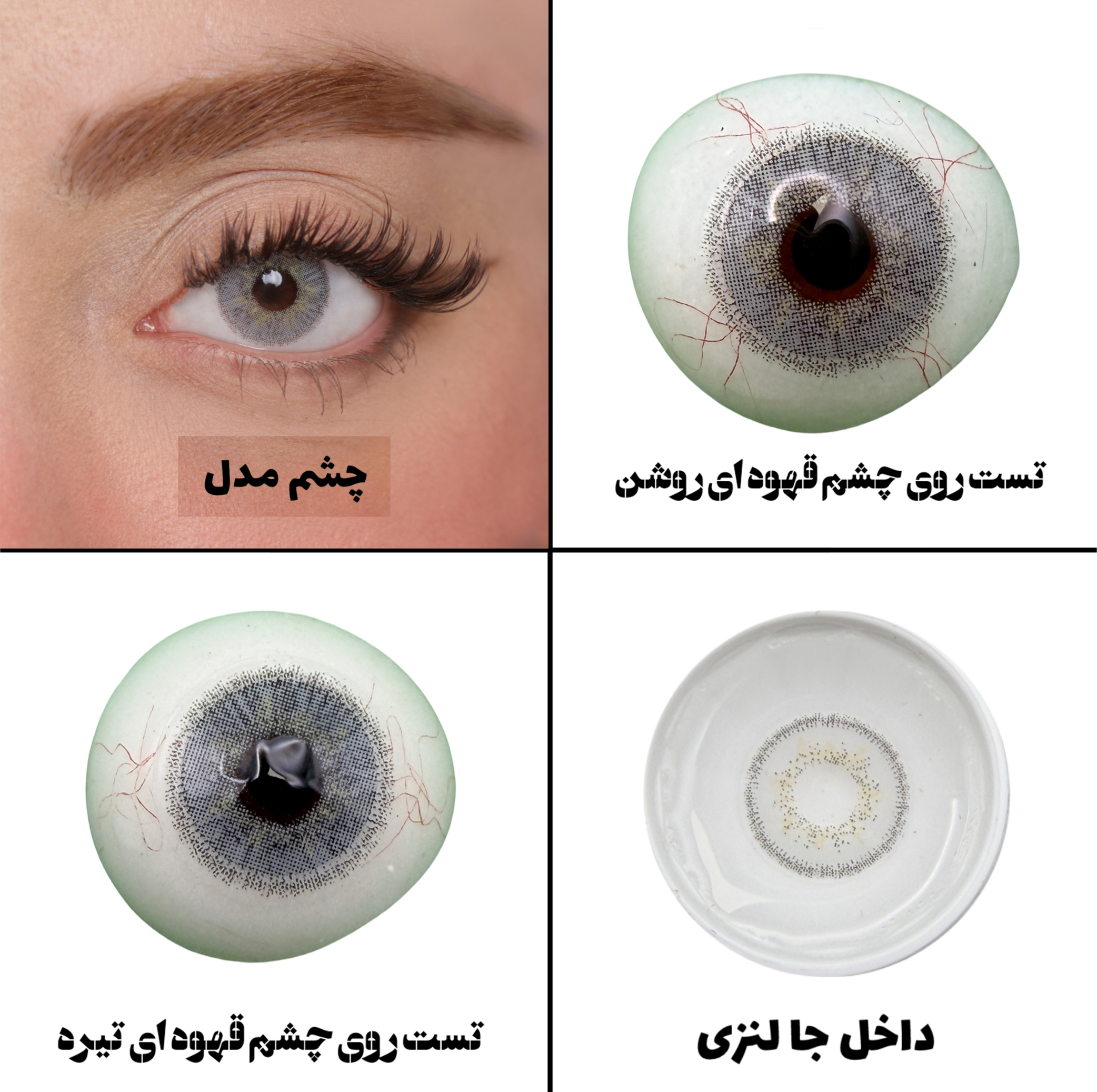 لنز چشم هرا گریس تمیم کانتکت لنز مدل ALASKA کد 13 رنگ طوسی یخی دوردار
