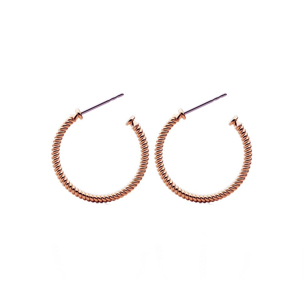 گوشواره حلقه‌ای زنانه پاول هویت مدل ROPE HOOP
