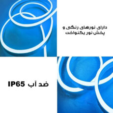 ریسه نئون لومیز مدل APP-5M RGB طول ۵ متر به همراه آداپتور