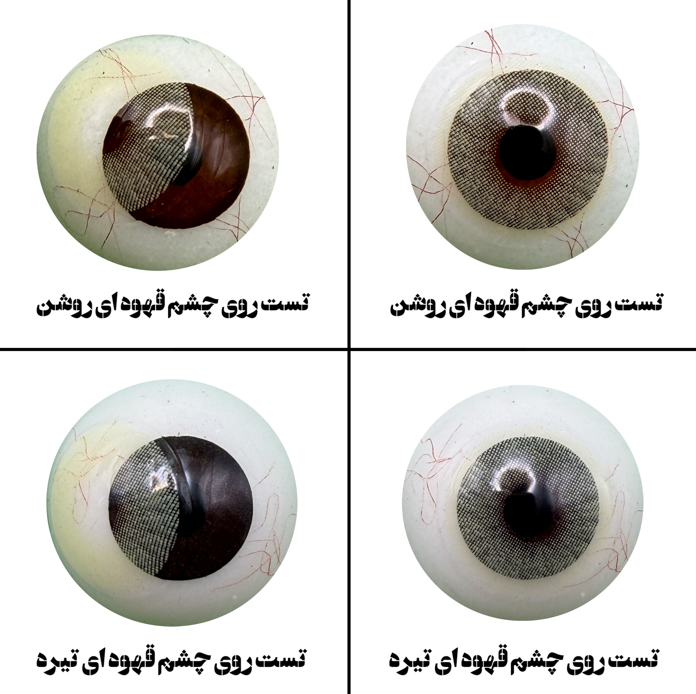لنز چشم رویال ویژن مدل LEMONY کد 24 رنگ سبز لیمویی روشن بدون دور