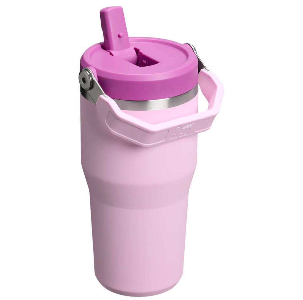 تراول ماگ استنلی مدل IceFlow Flip Straw Tumbler 2.0 گنجایش 0.59 لیتر