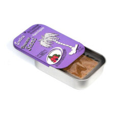خوشبو کننده خودرو اگزاتیکا مدل تمشک وحشی wildberry کد 55779