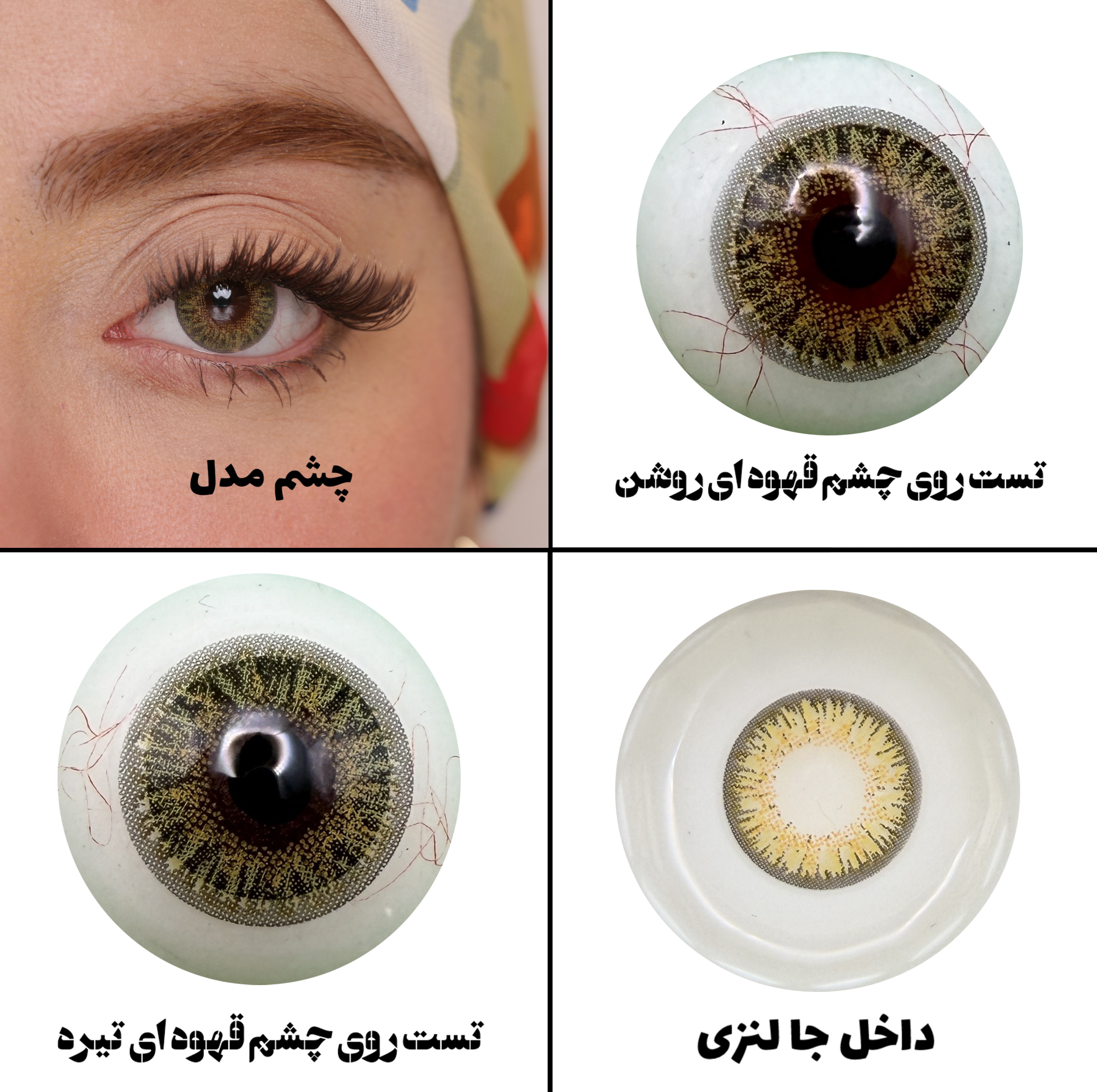 لنز چشم هرا مدل 18 سالانه کد FA320 رنگ سبز عسلی تیره دوردار