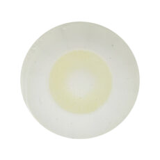 لنز چشم رویال ویژن مدل LEMONY کد 24 رنگ سبز لیمویی روشن بدون دور