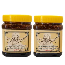 معجون چاقی بوعلی سینا ممتاز همدان ــ 500 گرم بسته 2 عددی
