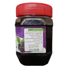 رب تمشک سنتی جالینوس - 450 گرم بسته 2 عددی