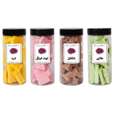 بستنی خشک طالبی ، شکلات ، توت فرنگی ، انبه ارغوان سرخ – 500 گرم بسته 4 عددی